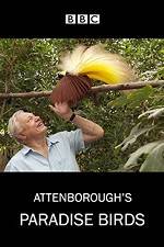 Watch Attenborough's Paradise Birds Vodly