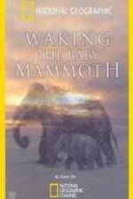 Watch Waking the Baby Mammoth Vodly