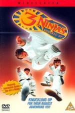 Watch 3 Ninjas Knuckle Up Vodly