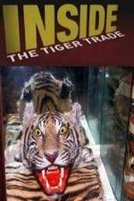 Watch Inside: The Tiger Trade Vodly