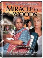 Watch Miracle in the Woods Vodly