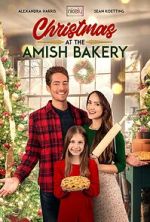 Watch Christmas at the Amish Bakery Vodly