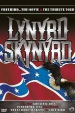 Watch Lynrd Skynyrd: Tribute Tour Concert Vodly