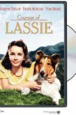 Watch Courage of Lassie Vodly