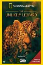 Watch Unlikely Leopard Vodly