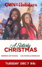 Watch A Sisterly Christmas Vodly