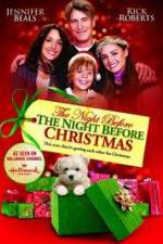 Watch The Night Before the Night Before Christmas Vodly