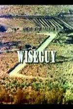 Watch Wiseguy Vodly
