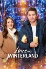 Watch Love in Winterland Vodly