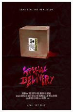 Watch Special Delivery Vodly