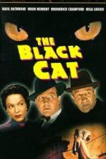 Watch The Black Cat Vodly