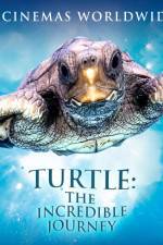 Watch Turtle The Incredible Journey Vodly