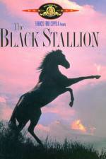 Watch The Black Stallion Vodly