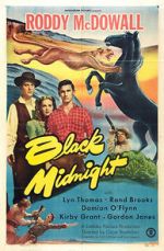 Watch Black Midnight Vodly