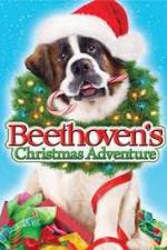 Watch Beethoven's Christmas Adventure Vodly