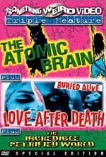 Watch Love After Death Vodly