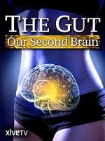 Watch The Gut: Our Second Brain Vodly