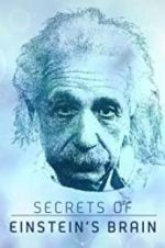 Watch Secrets of Einstein\'s Brain Vodly