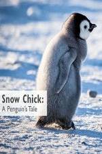 Watch Snow Chick: A Penguin's Tale Vodly