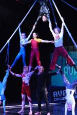 Watch Circus School Vodly