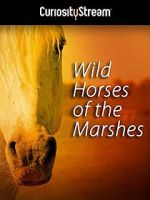 Watch Wild Horses of the Marshes Vodly