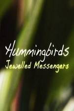 Watch Hummingbirds Jewelled Messengers Vodly