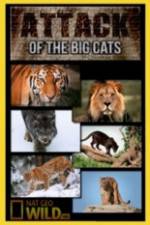 Watch National Geographic Attack Of The Big Cats Vodly