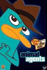 Watch Phineas And Ferb Animal Agents Vodly