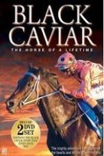 Watch Black Caviar The Races Vodly