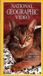 Watch Cats: Caressing the Tiger Vodly