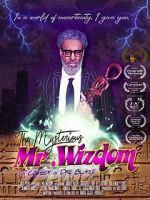 Watch The Mysterious Mr. Wizdom Vodly