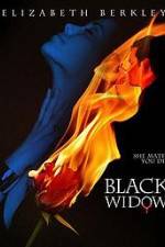 Watch Black Widow Vodly