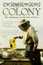 Watch Colony Vodly