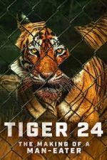 Watch Tiger 24 Vodly