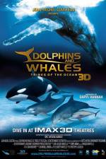 Watch Dolphins and Whales 3D Tribes of the Ocean Vodly