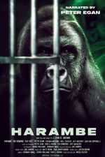 Watch Harambe Vodly