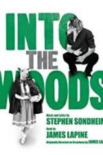 Watch Into the Woods Vodly