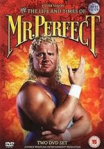 Watch The Life and Times of Mr. Perfect Vodly