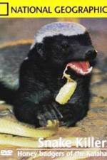 Watch National Geographic: Snake Killers Honey Badgers Of The Kalahari Vodly