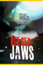 Watch National Geographic Red Sea Jaws Vodly