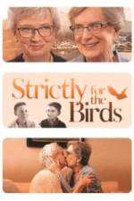 Watch Strictly for the Birds Vodly