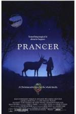 Watch Prancer Vodly