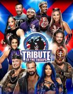 Watch WWE Tribute to the Troops Vodly