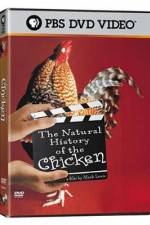 Watch The Natural History of the Chicken Vodly