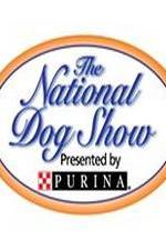 Watch National Dog Show Vodly