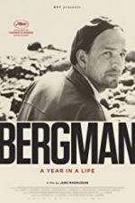 Watch Bergman: A Year in the Life Vodly