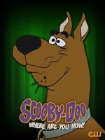 Watch Scooby-Doo, Where Are You Now! (TV Special 2021) Vodly