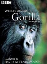 Watch Gorilla Revisited with David Attenborough Vodly