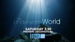 Watch My Underwater World (TV Special 2024) Vodly