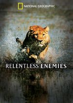 Watch Relentless Enemies Vodly